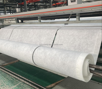 Tissu géotextile non tissé aiguilleté écologique résistant à la déchirure 200 g/m² PP anti-âge