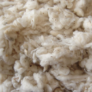Residuos de Algodón Crudo Blanco Lickerin 100 para Fábricas de Hilatura |   Residuos de Algodón Reciclado _ Sra. Min - Product Image 1