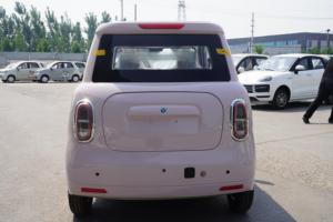 Nuevo Modelo de Auto Eléctrico de 4 Ruedas para Adultos, Vehículo Chino de Nueva Energía FSL L-19 3000W 6000W - Product Image 5