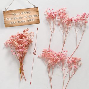 AYOYO Flor eterna Flor seca Full Sky Star Paquete de flores pequeñas 15cm, 5 piezas/paquete, decoración de boda y familia - Product Image 5