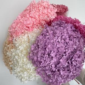 Ortensie Essiccate Naturali all'Ingrosso 55-65cm per Decorazioni da Tavolo Casa/Matrimonio Capodanno Cinese Fiori Decorativi - Product Image 1