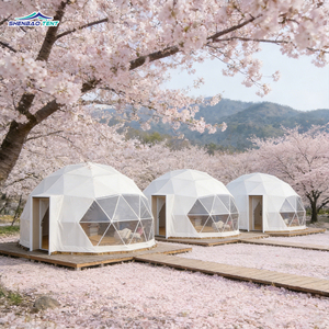 Carpa <span class=keywords><strong>de</strong></span> Camping Tipo Domo Geodésico Eco Forest <span class=keywords><strong>de</strong></span> 6m, Personalizada <span class=keywords><strong>de</strong></span> Fábrica, para Glamping en Colombia, Apta para las <span class=keywords><strong>Cuatro</strong></span> Estaciones - Product Image 2