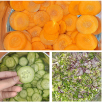 Cortadora automática de frutas Cebolleta Apio Cortadora de cebolla verde Cortador de verduras de acero inoxidable