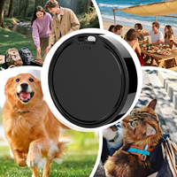 Traceur GPS sans fil Mini Dispositif intelligent anti-perte Localisateur de clés Portefeuille Bagages Animaux de compagnie Enfants Chien Chat Temps réel