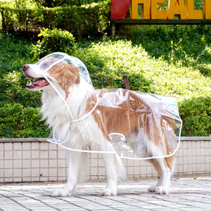 Impermeable Transparente para Perros Grandes, Protección Solar y Contra el Polvo, para Todas las Estaciones, Ideal para Border <span class=keywords><strong>Collie</strong></span> - Product Image 2