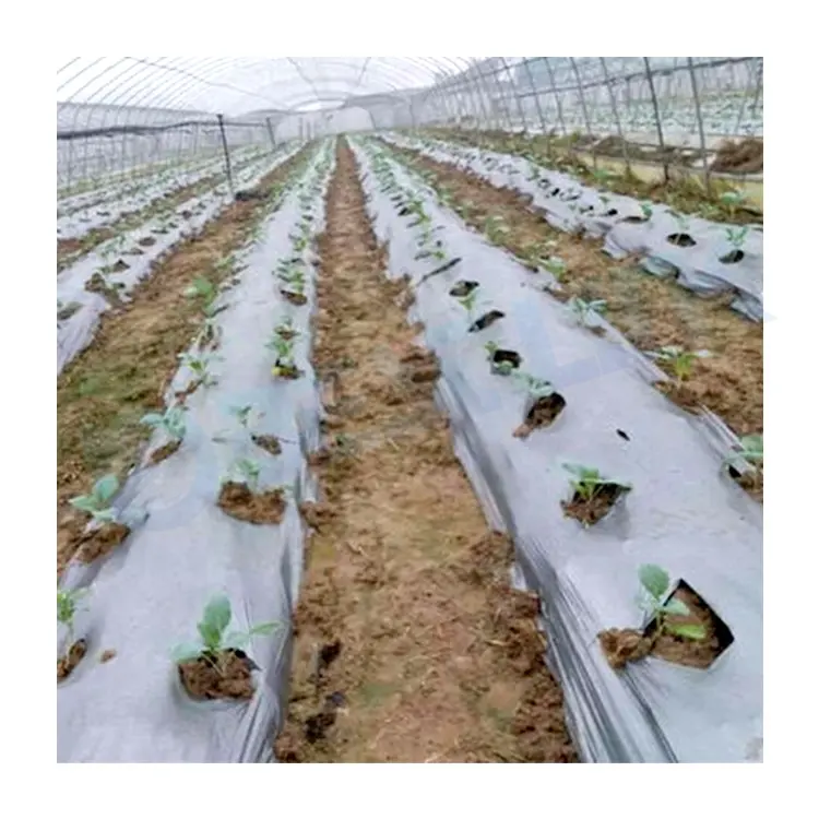 Film de couverture de légumes pour serre feuilles de paillage en plastique agricole rouleaux de film de paillis anti-herbe