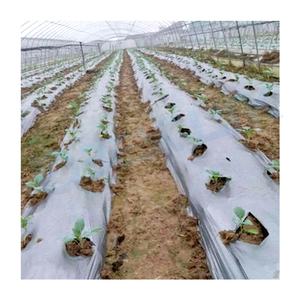 Greenhouse Vegetable Cover Pe Film Mulching Sheets Agricultural Plastic Mulch Film <strong>Rolls</strong> Anti <strong>Grass</strong> - Product Image 1