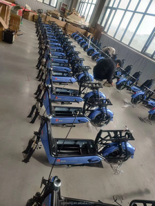 จักรยานยนต์ไฟฟ้า EU Comfortable Two Seats รุ่น 48V 250W สำหรับผู้ใหญ่และนักเรียน พร้อมตะกร้าขนาดใหญ่ ยาง 14 นิ้ว - Product Image 6