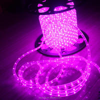 240v Flexible Silicon Tube 100m Rouleau 1/2 "Duralight Luces Corde Lumières Tiras Cristal Luz Bandes Flexibles