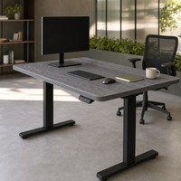 Table de bureau électrique silencieuse en bois AOR, réglable en hauteur, double usage assis-debout, pour ordinateur, couleurs personnalisables
