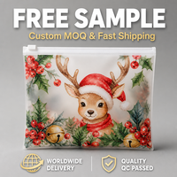 Sac d'emballage en plastique de Noël, pochette à fermeture éclair givrée imprimée pour vêtements de luxe avec logo personnalisé