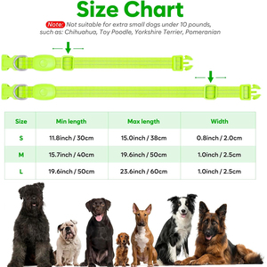 <span class=keywords><strong>Collar</strong></span> de perro con luz <span class=keywords><strong>LED</strong></span> <span class=keywords><strong>Collar</strong></span> brillante impermeable para seguridad de aventura al aire libre - Product Image 5