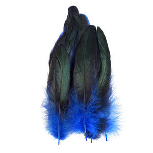 50 Plumes Colorées <span class=keywords><strong>de</strong></span> <span class=keywords><strong>Coq</strong></span> (12-20cm) <span class=keywords><strong>pour</strong></span> Coiffure Indienne, Décoration DIY, Jouet Amusant <span class=keywords><strong>pour</strong></span> Chat, Artisanat, Ornements, Vêtements - Product Image 2