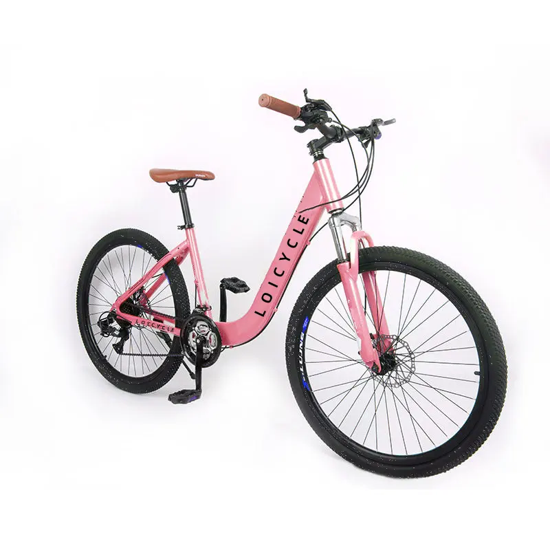 Fashional femme vélo 26 pouces bicicleta e OEM vélo pour femmes fabriqué en Chine vélo pour dames