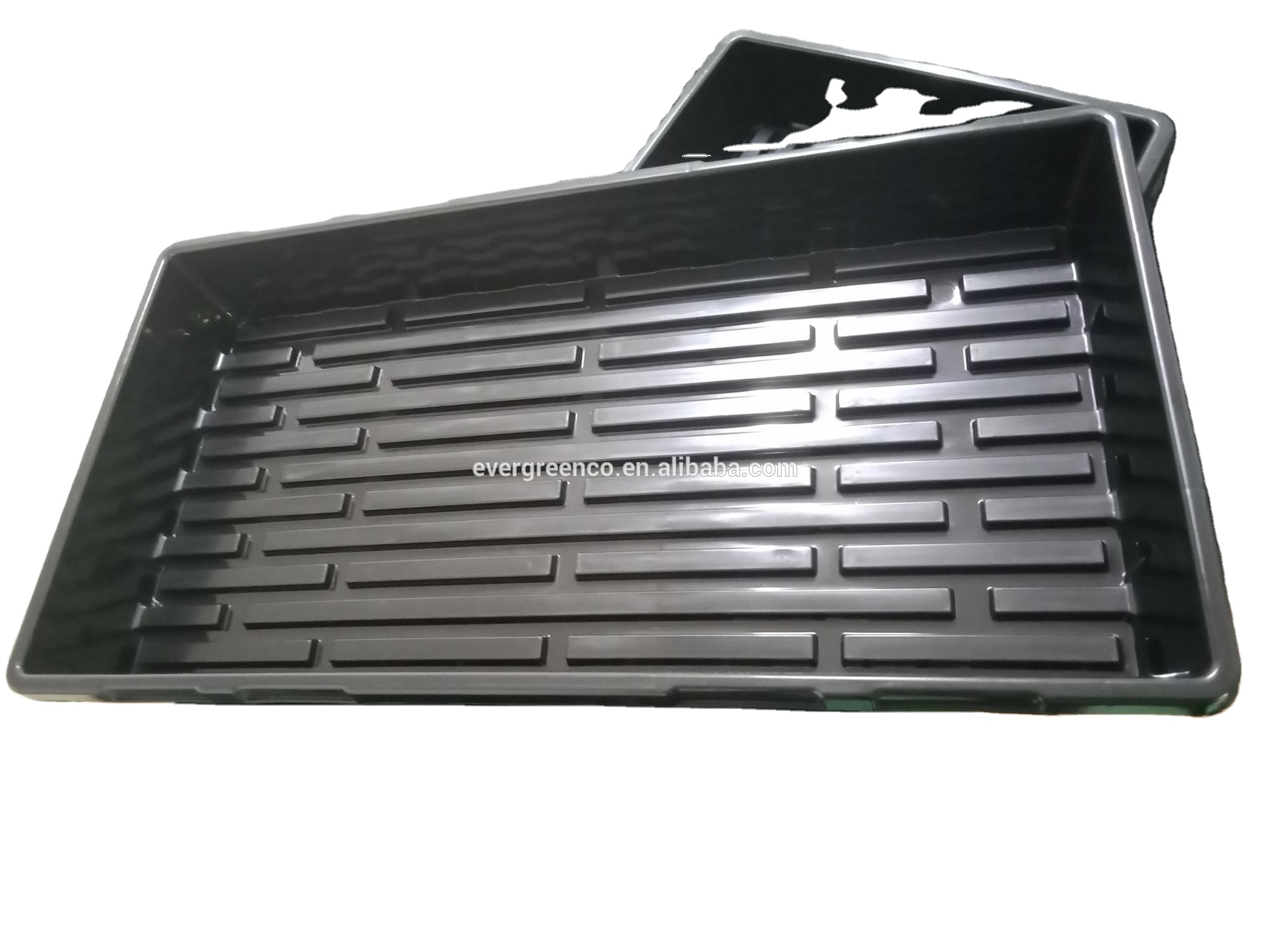 drying tray biobricks