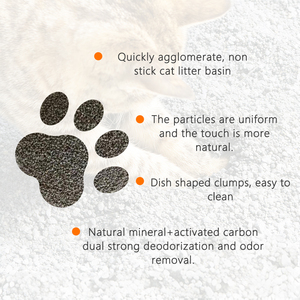Litière pour chat puissante, désodorisante, écologique, biodégradable, à base de charbon actif minéral, jetable aux toilettes, 4 kg 5 L - Product Image 4