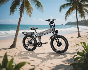AMYET chino 24 pulgadas barato ciudad titanio carretera 1000W 52V 40 Mph aluminio entrega gratuita de bicicletas eléctricas de neumáticos grandes - Product Image 1