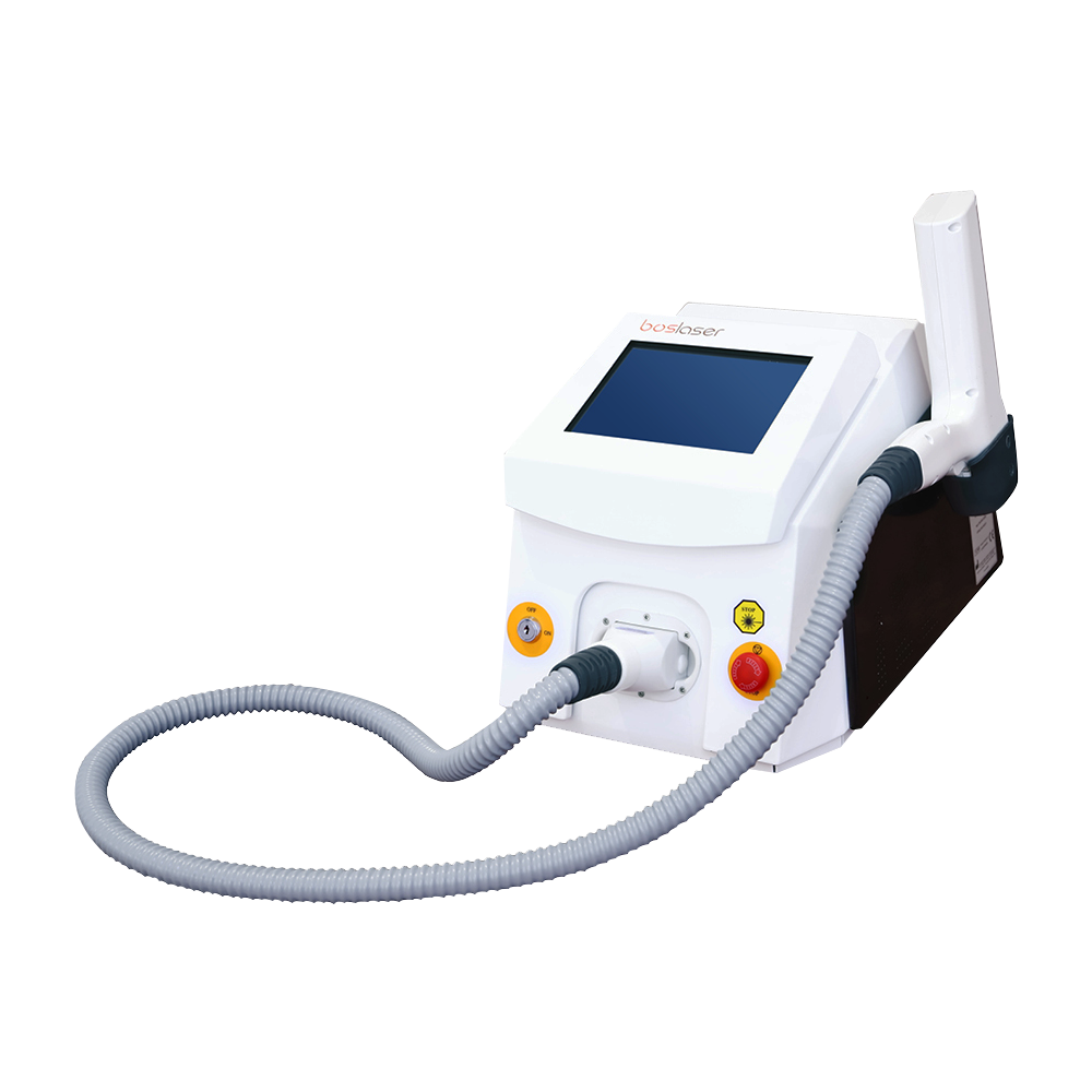 สีขาวและสีดำ