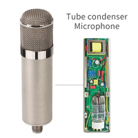 TM280 Microphone à condensateur professionnel 34mm à grand tube à membrane 20Hz-20KHz micro d'enregistrement en studio