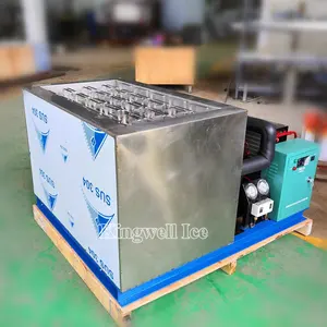 Commercial High Production 1 Ton Stainless Steel Block Ice Making Machine