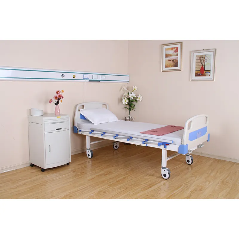 Modern Hospital Furniture Double Cranks Rolling Nursing Home Bed, 2 Function Hospital Manual Bed Price Metal