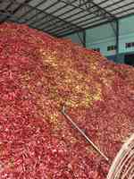Nouvelle récolte 2025 : Piments paprika concassés et hachés