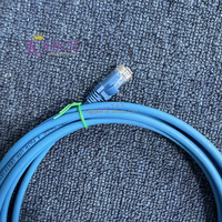 Cable de Red UTP CAT6 de 8 Conductores, Cable de Conexión de 30 cm