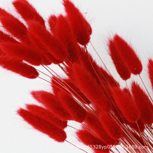 Venta de Fábrica: Cola de Perro Decorativa, Cola de Zorro, Hierba Seca de Pampa, Cola de Conejo Natural, Ramo de Flores <span class=keywords><strong>WAFA</strong></span> - Product Image 2