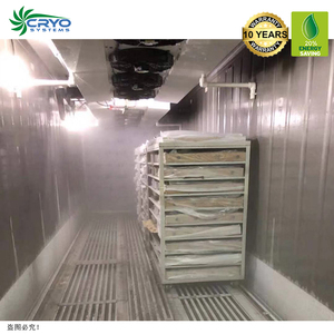 Mobile Blast <span class=keywords><strong>Freezer</strong></span> <span class=keywords><strong>Container</strong></span> <span class=keywords><strong>40</strong></span> Feet Cho Cá Hồi Cá Ngừ - Product Image 5