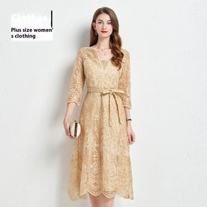 Vestido de encaje de lujo ligero de alta gama Fiesta ODM <span class=keywords><strong>para</strong></span> <span class=keywords><strong>mujeres</strong></span> de talla grande Ligeramente gordito <span class=keywords><strong>para</strong></span> banquetes Bodas Vestido de novia de la madre - Product Image 6