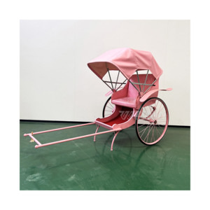 All'ingrosso il vecchio stile risciò carrozza cavallo nuovo arrivo 2 ruote risciò a basso prezzo a buon mercato 2 posti a Pedicab risciò - Product Image 6
