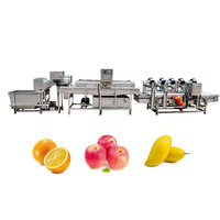 Dezoton Automatische Fruit- en Groenteverwerkingslijn Vortex Wasmachine Watercirculerende Groentewasinstallatie