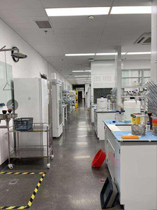 OEM organik <span class=keywords><strong>Moringa</strong></span> bubuk kapsul suplemen kesehatan untuk energi dukungan vitamin untuk dijual - Product Image 6