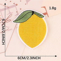 Professionele Fabriek Groothandel Aangepaste Diy Kleurrijke Fruit Borduurwerk Patch Kleine Maat Kleurrijke Stof Patch