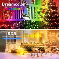 Nuevas Luces LED Mágicas de Alambre de Cuero IP65 5V USB para Navidad, Luces de Cadena LED RGBIC Inteligentes con Control Remoto y por Aplicación