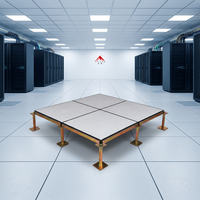Systèmes de panneaux antistatiques : Plancher surélevé en acier pour salles de serveurs, salles informatiques et centres de données