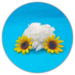 7D * 64mm rỗng liên hợp siliconized/không siliconized HCS/HC Polyester STAPLE sợi - Product Image 6