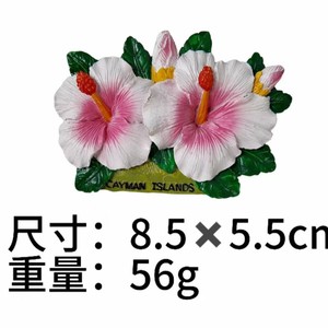 Pegatina para Refrigerador con Diseño de Flor de Hibisco, Recuerdo de Atracciones Turísticas, Pegatina Decorativa Magnética de Resina para Refrigerador - Product Image 3