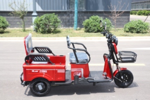 <span class=keywords><strong>Prix</strong></span> d'usine vente en gros cyclomoteur vélo électrique 3 roues gros pneu tricycle électrique pour adulte - Product Image 3