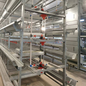 Nuevo Gallinero Automático de Alta Calidad al Mejor <span class=keywords><strong>Precio</strong></span>, con Alimentación y Bebedero Automáticos, de Tres Niveles, Tipo H - Product Image 5