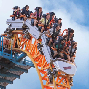 รถไฟเหาะตีลังกาดีไซน์ไม่เหมือนใครสำหรับสวนสนุก - Product Image 2