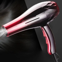 Sèche-cheveux pour voyage et maison Concentrateur négatif/diffuseur/spin Curl/tête rotative Sèche-cheveux ionique 3 réglages de chaleur