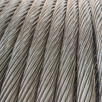 Câble en acier inoxydable 316 enduit de nylon 6x37 316 câble en acier inoxydable 8mm 1x19 2mm câble en acier inoxydable noir 10mm gréement
