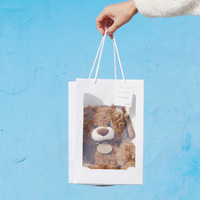 Nouvelle série d'ours Jiford mignons, adorable poupée en peluche assise, rembourrage en coton PP, finition lavée, unisexe, anti-stress, tailles 20-25 cm