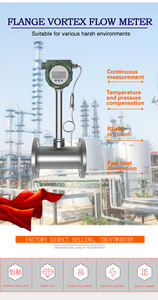 JSHQ HQLUGBフランジクランプ渦流量計4-20ma圧縮空気ステンレス鋼 +/-1% 精度 - Product Image 4