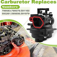 Approvisionnement en gros d'usine pour carburateur Briggs Stratton pour moteurs de tondeuses à gazon (TB110/TB200) à essence, garantie 1 an, ODM/OEM
