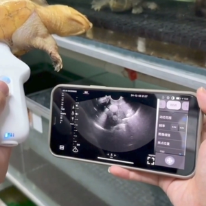 Appareil d'échographie vétérinaire portable sans fil Doppler couleur pour l'échographie de grossesse des animaux de compagnie et l'examen cardiaque des animaux - Product Image 5