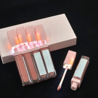 Vente en gros de rouge à lèvres liquide vegan imperméable de haute qualité, tubes lumineux LED, gloss à lèvres avec miroir, possibilité de créer sa propre marque