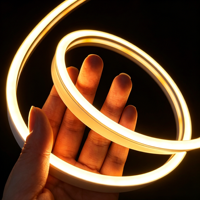 Bande lumineuse LED flexible en silicone imperméable IP65 personnalisée LFI0612-5, lumière néon pour salon, escaliers, plafonds intérieurs