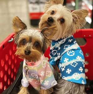 Competitive Price Luxury Spring Summer <b>Dog</b> <b>Clothes</b> Sport Pet Clothing Coats & Jackets Classic Print Fiber Hand Wash - Product Image 2